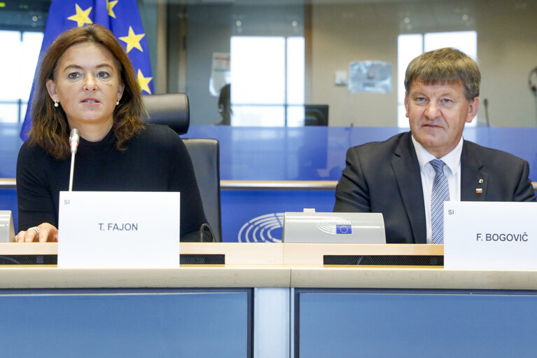 Fotografia 5: Constituent meeting of the Delegation to the EU-Serbia Stabilisation and Association Parliamentary Committee