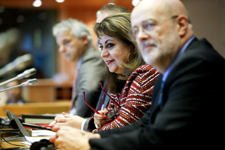 Foto 3: Constituent meeting of the Delegation for relations with the countries of South Asia