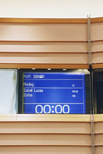 the Commission on European regional and lesser-used languages – the languages of minorities in the EU – in the context of enlargement and cultural diversity Rapporteur: Michl Ebner