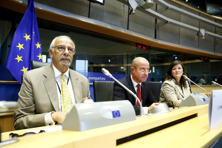 Fotografija 6: Constituent meeting of the Delegation for relations with India