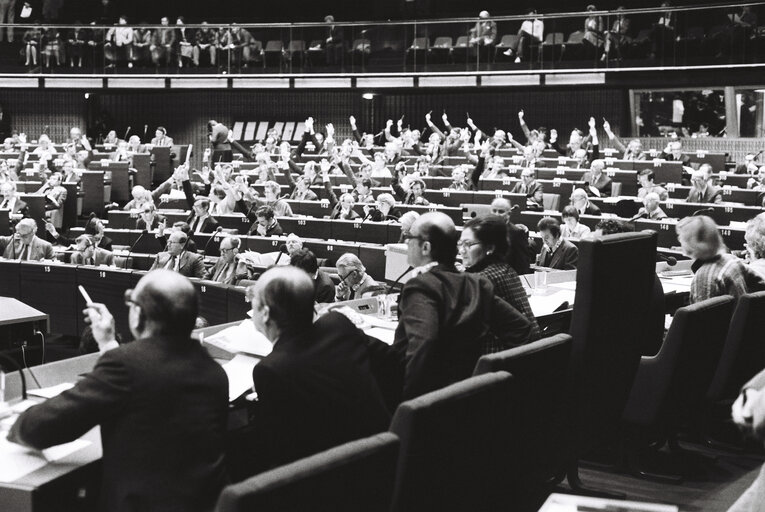 Plenary Session in Strasbourg.vote by show of hands