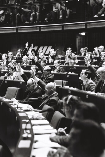 Plenary Session in Strasbourg.vote by show of hands