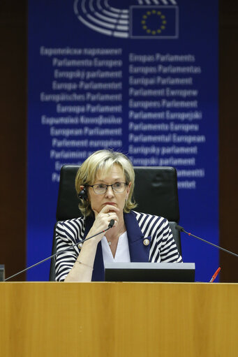 Photo 37 : Plenary session - Council and Commission statements - Preparation of the European Council meeting of 17 and 18 October 2019