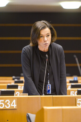 Fotografie 24: Plenary session  - Commission statement - Greening the European Investment Bank, in the presence of Werner Hoyer, President of the EIB