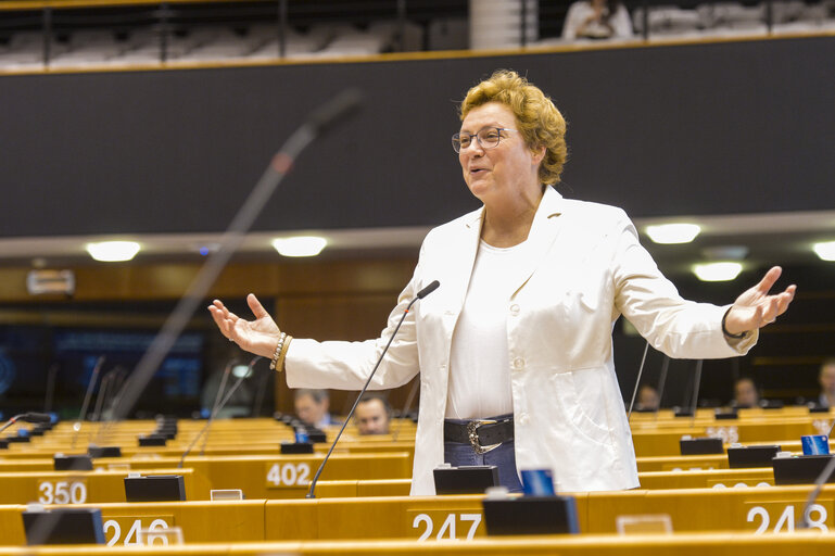 Fotografie 20: Plenary session  - Commission statement - Greening the European Investment Bank, in the presence of Werner Hoyer, President of the EIB