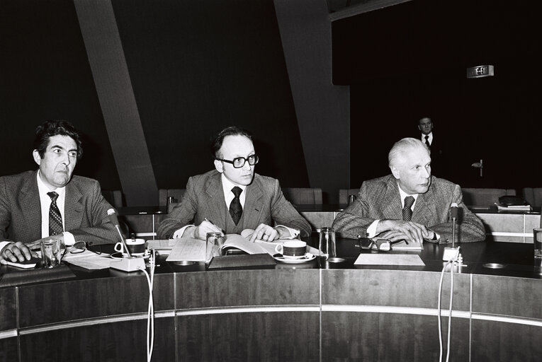 Снимка 2: 1980 March Meeting in Strasbourg