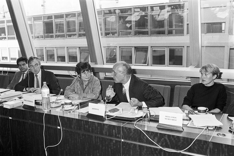 Meeting at the European Parliament in Strasbourg