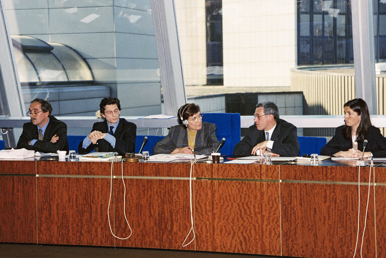 Fotografia 1: Meeting at the European Parliament in Strasbourg