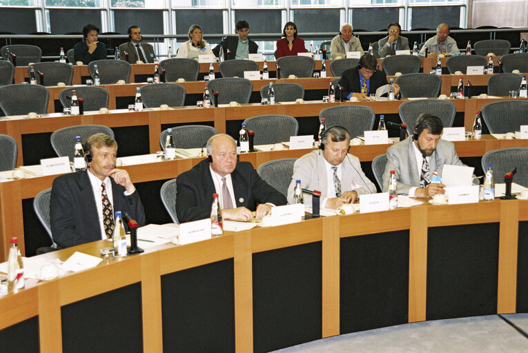 Fotó 1: EU-Belarus Meeting at the European Parliament in Brussels