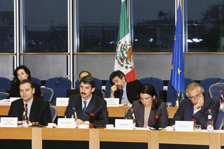 Foto 1: Joint Parliamentary Committee meeting EU - Mexico at the EP in Brussels