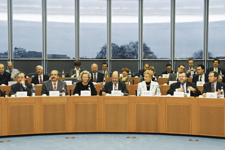 Photo 6 : Parliamentary Committee Meeting: Agreement on Socrates program