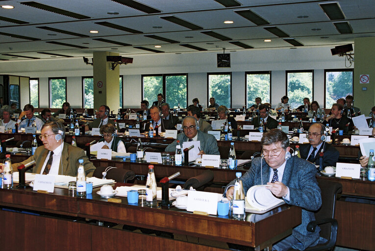 Fotografi 1: AFET Committee meeting - Election of Gerardo FERNANDEZ-ALBOR as Committee President