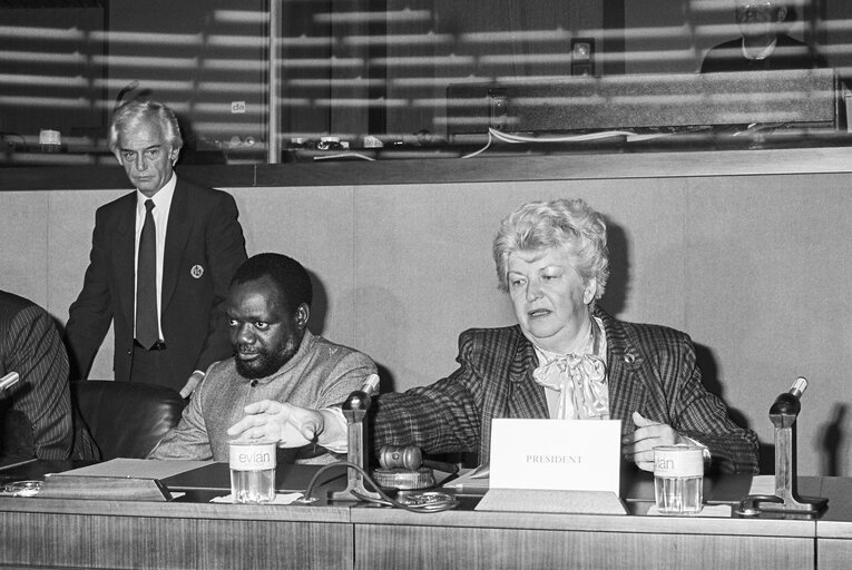 Committee on Development and Cooperation Meeting at the European Parliament in Strasbourg in October 1986