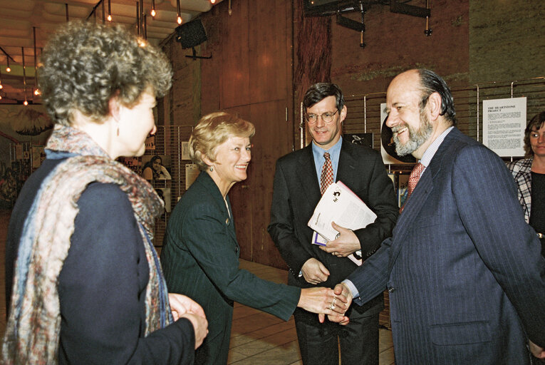 Fotagrafa 2: Exhibition on the fairytale  Heartstone Odyssey  at the European Parliament in Strasbourg