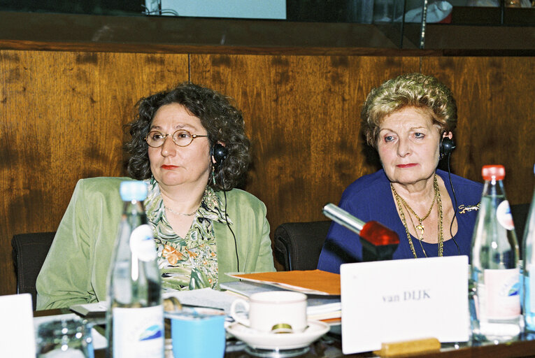 Meeting of the Committee on Women's Rights