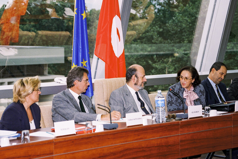 Fotografia 1: Ninth EP-Tunisia Interparliamentary Meeting - Topics include will include political dialogue, the conditions for peace, security and regional development, cultural dialogue, Islamic fundamentalism and partnership in the social field.