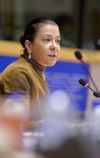 Foto 1: LIBE Committee hearing on foreign fighters with the President of Eurojust