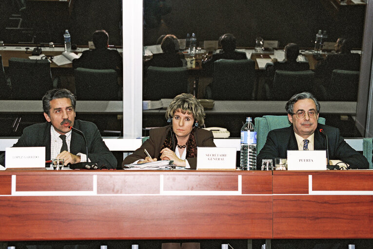 Foto 1: Meeting with Secretary-General of PDNI (Partido Democratico de la Nueva Izquierda) at the European Parliament in Strasbourg