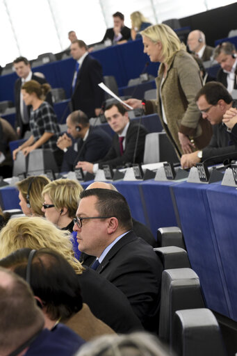 Photo 5 : Dominique MARTIN during the Plenary session week 03 2015 in Strasbourg