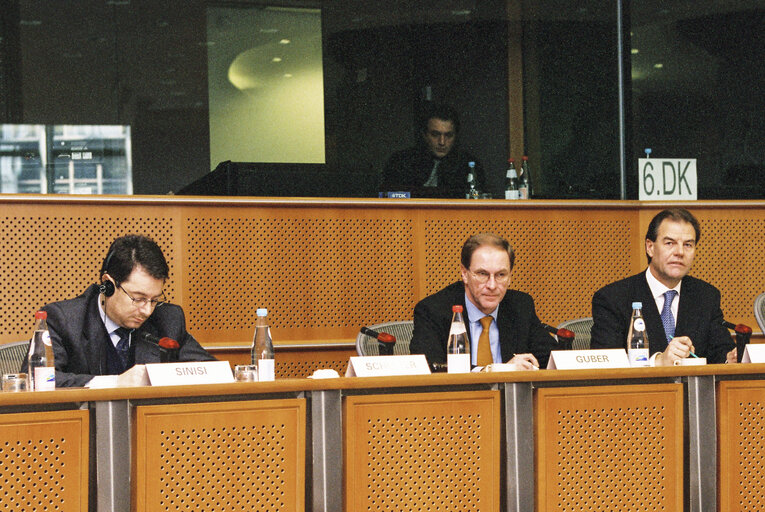 Foto 2: Meeting at the European Parliament in Brussels