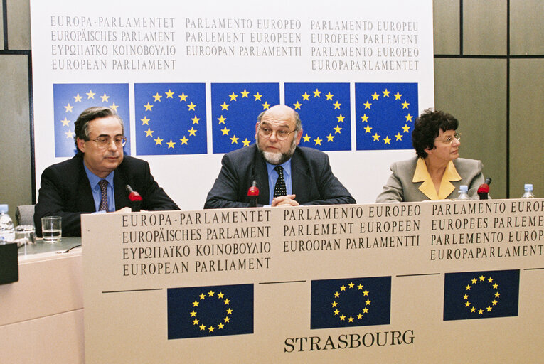 Photo 19 : Press conference in strasbourg