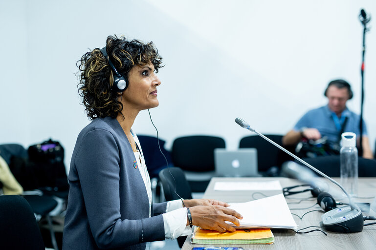 Ms Anukriti Hittle, Hawaii Climate Change Mitigation and Adaptation Coordinator at HawaiiDepartment of Land and Natural Resources during the meeting with delegation of European Parliament to COP24.