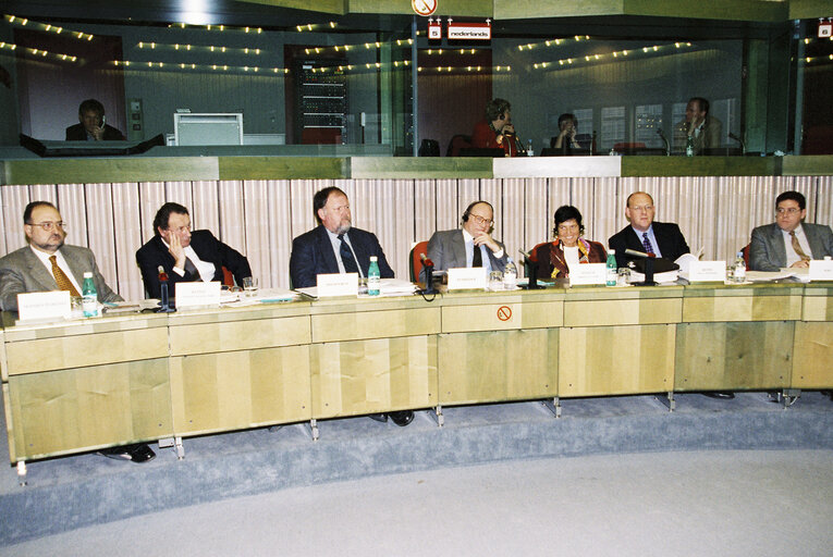 Foto 1: STOA meeting at the EP in Strasbourg.