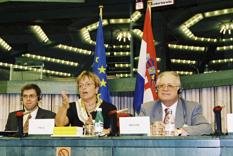 Fotogrāfija 1: Doris PACK and Vlatko PAVLETIC, Speaker of the Croatian Parliament attend a meeting with the delegation for relations with the Republics of former Yugoslavia in Strasbourg in July 1996.