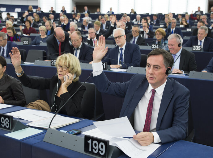David McALLISTER in the EP in Strasbourg