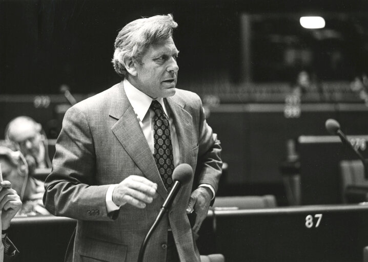 Plenary session in May 1977