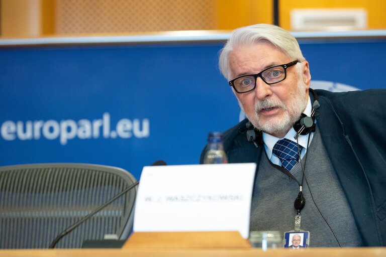Photo 15: SEDE  AFET joint Committee -  Exchange of views with Rafael Mariano GROSSI, Director General of the International Atomic Energy Agency (IAEA) on current international developments of concern