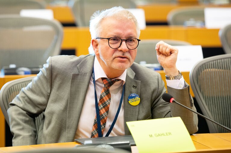 Photo 13: SEDE  AFET joint Committee -  Exchange of views with Rafael Mariano GROSSI, Director General of the International Atomic Energy Agency (IAEA) on current international developments of concern