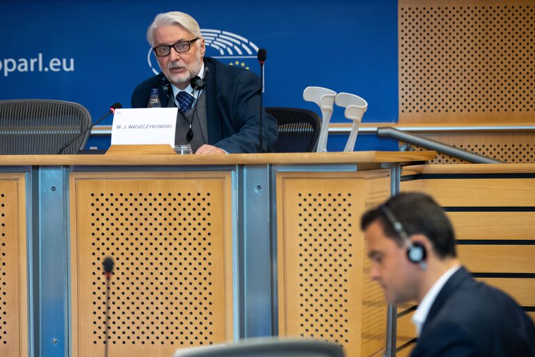 Photo 14: SEDE  AFET joint Committee -  Exchange of views with Rafael Mariano GROSSI, Director General of the International Atomic Energy Agency (IAEA) on current international developments of concern