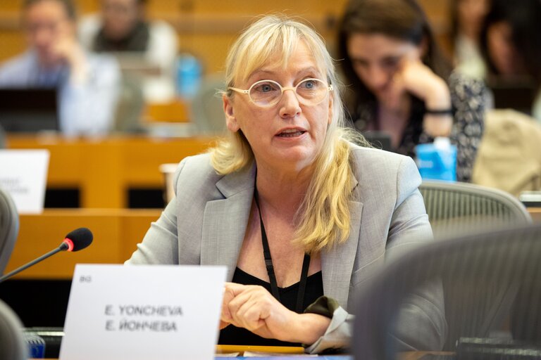 Photo 11: SEDE  AFET joint Committee -  Exchange of views with Rafael Mariano GROSSI, Director General of the International Atomic Energy Agency (IAEA) on current international developments of concern