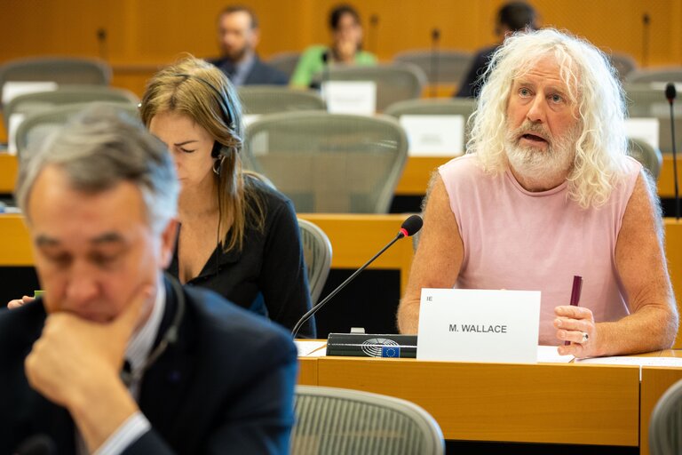 Photo 3: SEDE  AFET joint Committee -  Exchange of views with Rafael Mariano GROSSI, Director General of the International Atomic Energy Agency (IAEA) on current international developments of concern