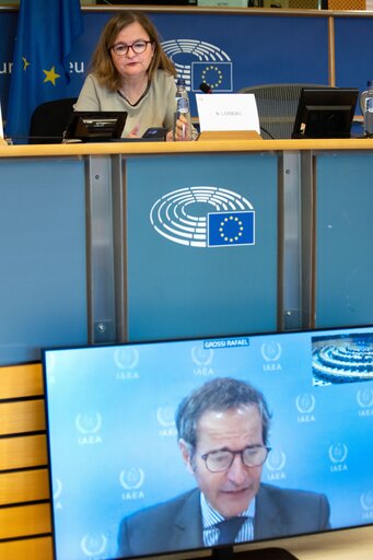 Photo 2: SEDE  AFET joint Committee -  Exchange of views with Rafael Mariano GROSSI, Director General of the International Atomic Energy Agency (IAEA) on current international developments of concern