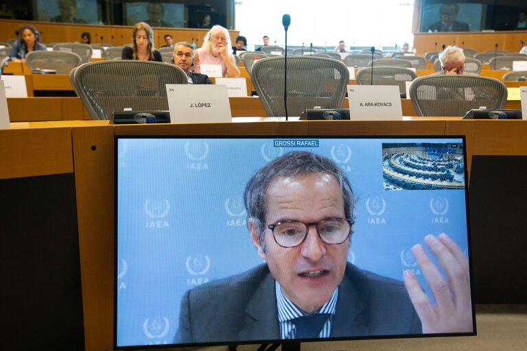 Photo 20: SEDE  AFET joint Committee -  Exchange of views with Rafael Mariano GROSSI, Director General of the International Atomic Energy Agency (IAEA) on current international developments of concern