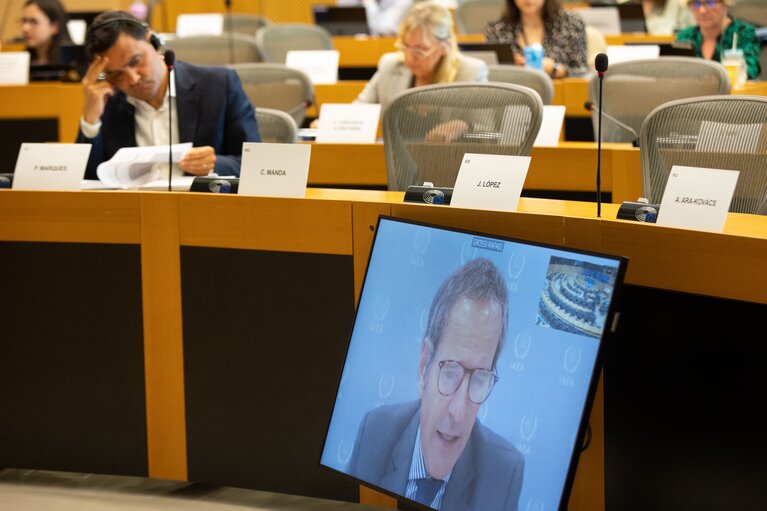 Photo 22: SEDE  AFET joint Committee -  Exchange of views with Rafael Mariano GROSSI, Director General of the International Atomic Energy Agency (IAEA) on current international developments of concern