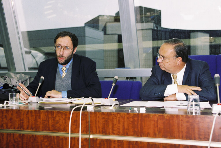 Meeting at the European Parliament of Strasbourg