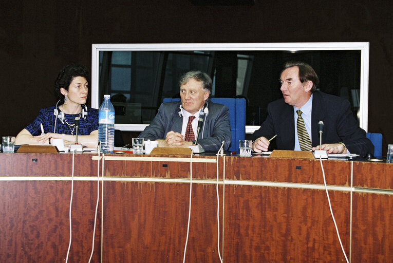 Meeting with the Commissioner for Social Affairs
