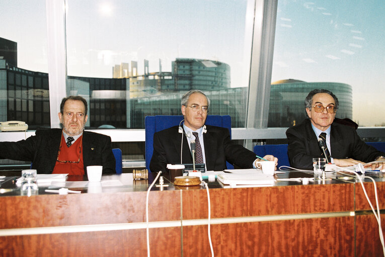 Meeting at the European Parliament in Strasbourg