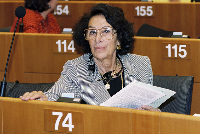 Plenary session in Brussels in June 1996.