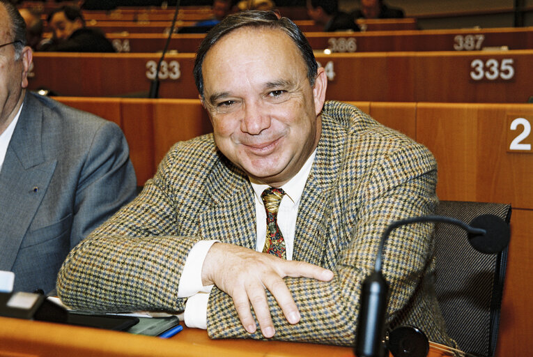 Fernando FERNANDEZ MARTIN in Plenary session at Brussels