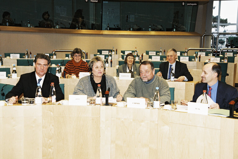 MEP's of the PSE political group during a meeting