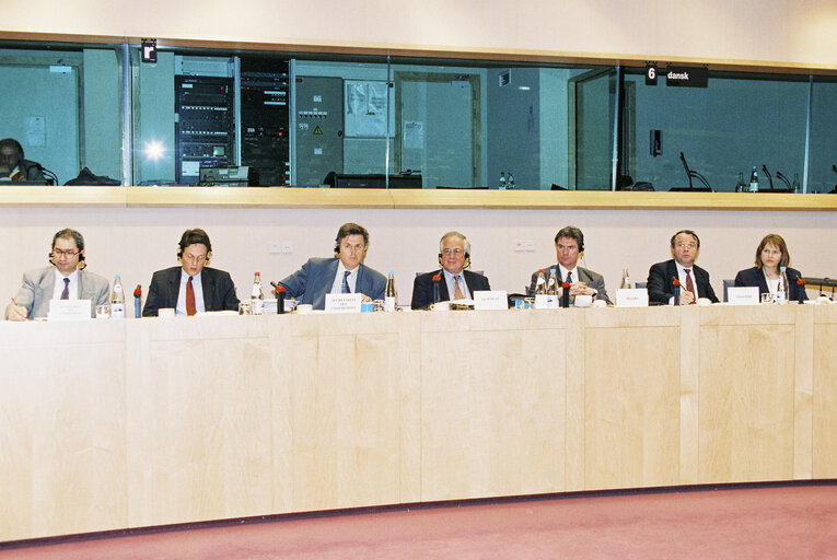 Meeting of the Committee on Economic and Monetary Affairs and Industrial Policy