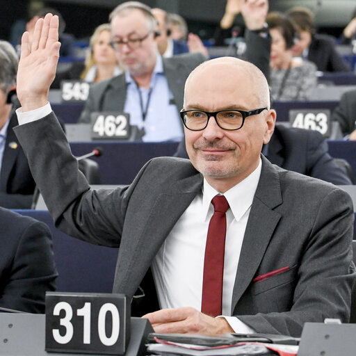 Peter SIMON in the EP in Strasbourg