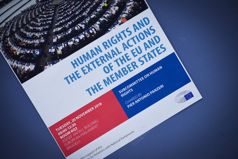 DROI Interparliamentary committee meeting - Human rights and the external actions of the EU and Member States