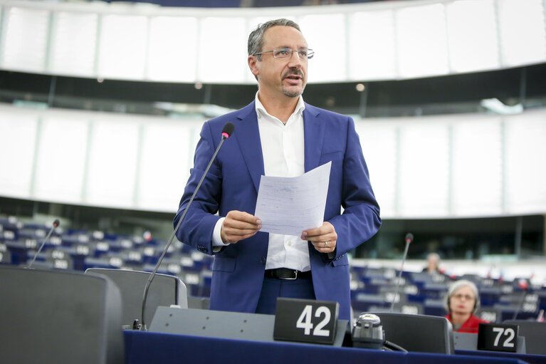 Foto 1: Piernicola PEDICINI in the EP in Strasbourg