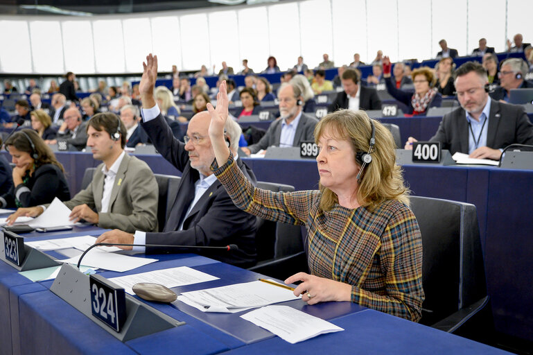 Photo 7 : Jill EVANS in the EP in Strasbourg