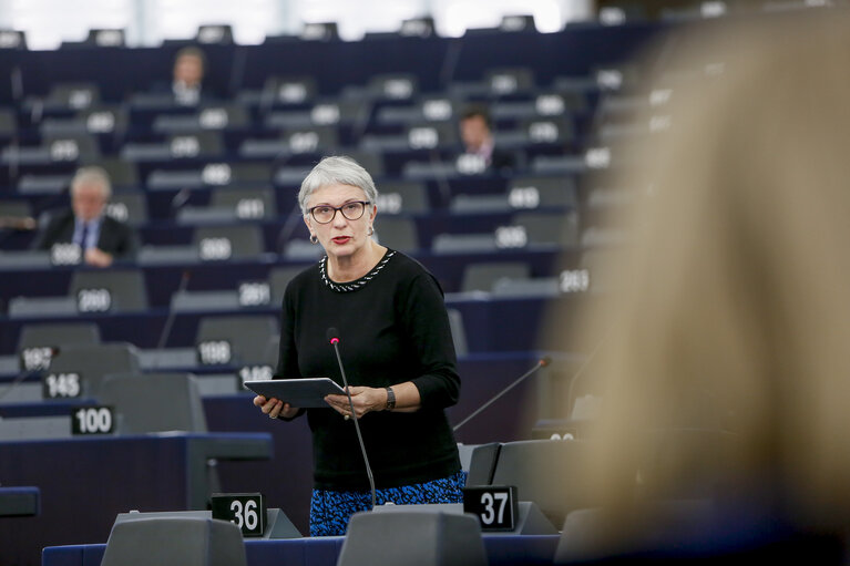 Fotagrafa 11: EP plenary session - Statement by the Vice-President of the Commission/High Representative of the Union for Foreign Affairs and Security Policy - Situation in the Sea of Azov